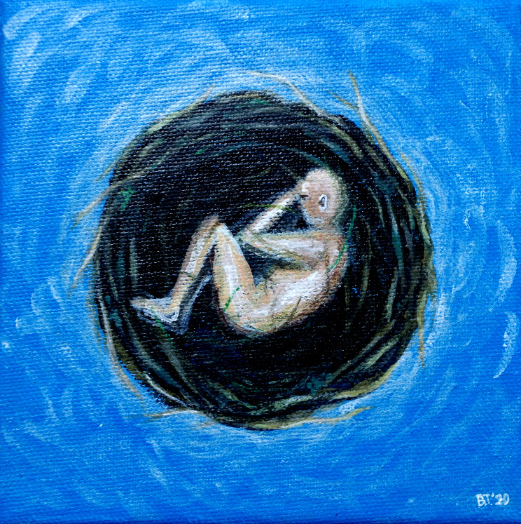 Shelter