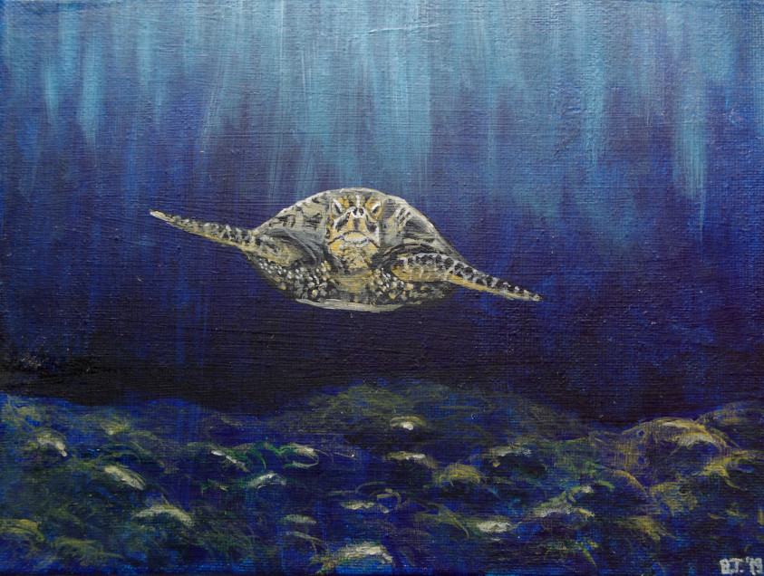 Underwater explorer