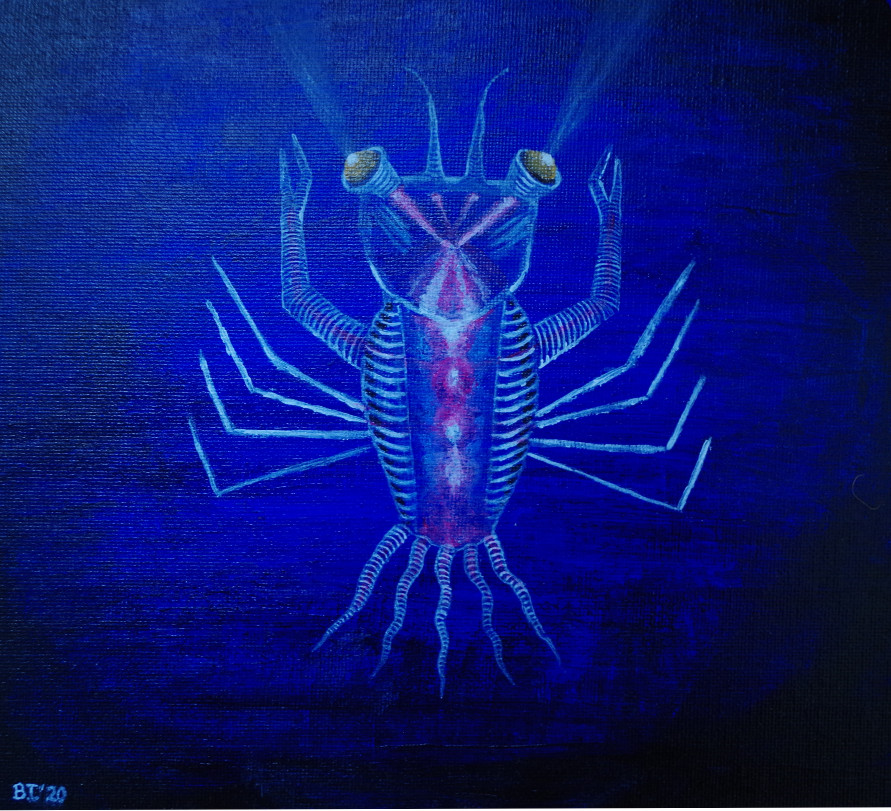Underwater Wonder